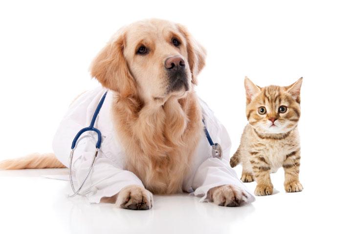 Check up